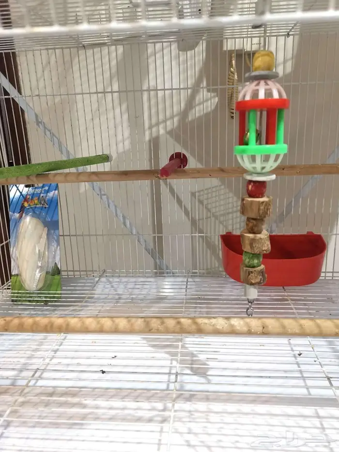 قفص وستاند للطيور ومستلزمات جديد بأرخص الاسعار 4