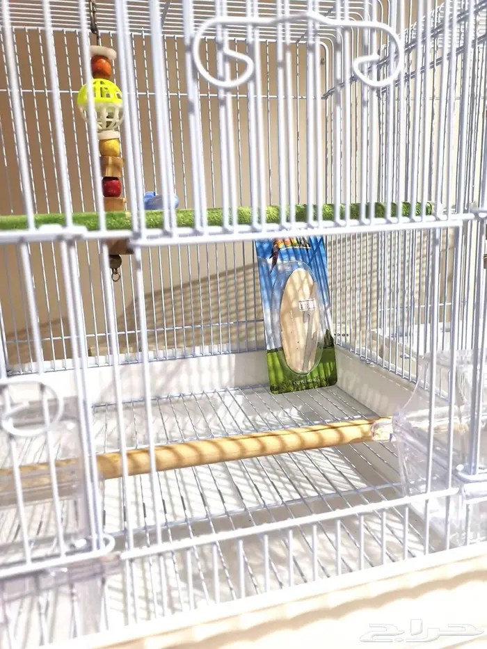 قفص وستاند للطيور ومستلزمات جديد بأرخص الاسعار 8