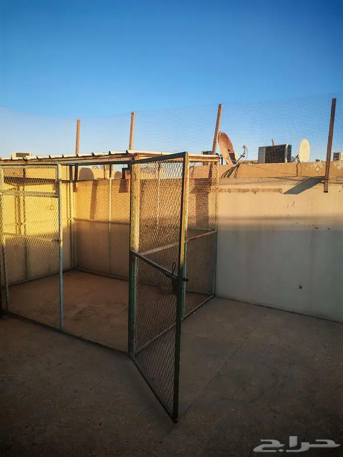 صندقة (عشة حمام) 3