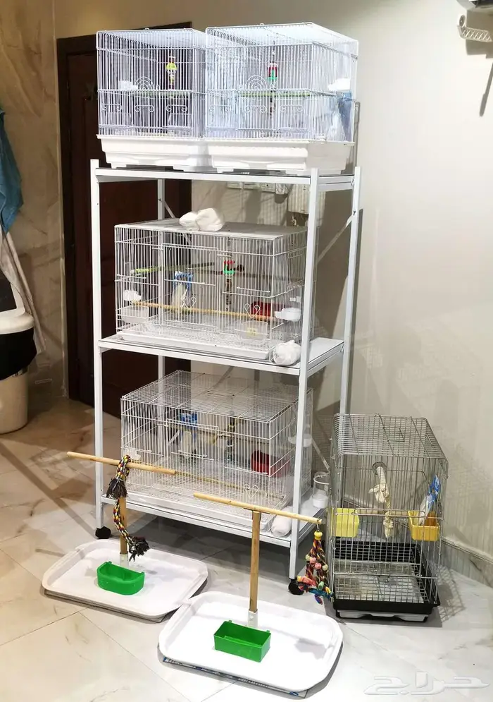 قفص وستاند للطيور ومستلزمات جديد بأرخص الاسعار 0