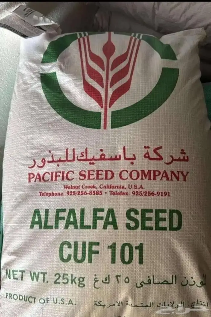 بذور برسيم باسفيك 0