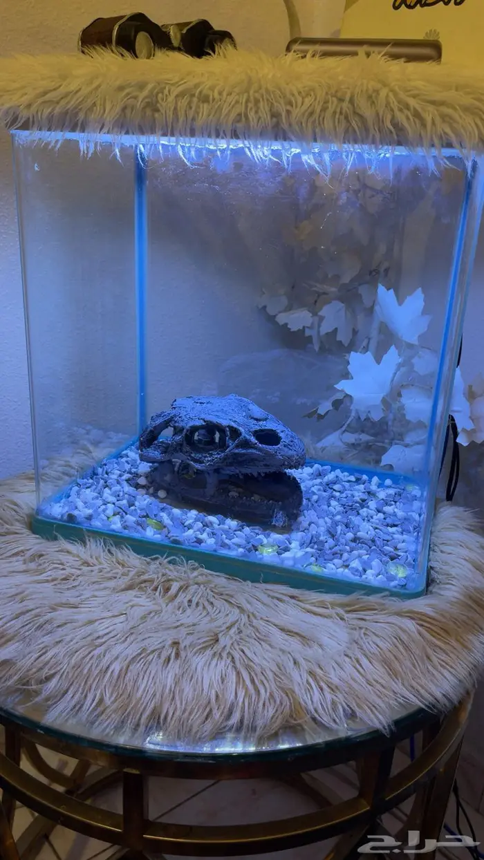 حوض سمك للبيع 0