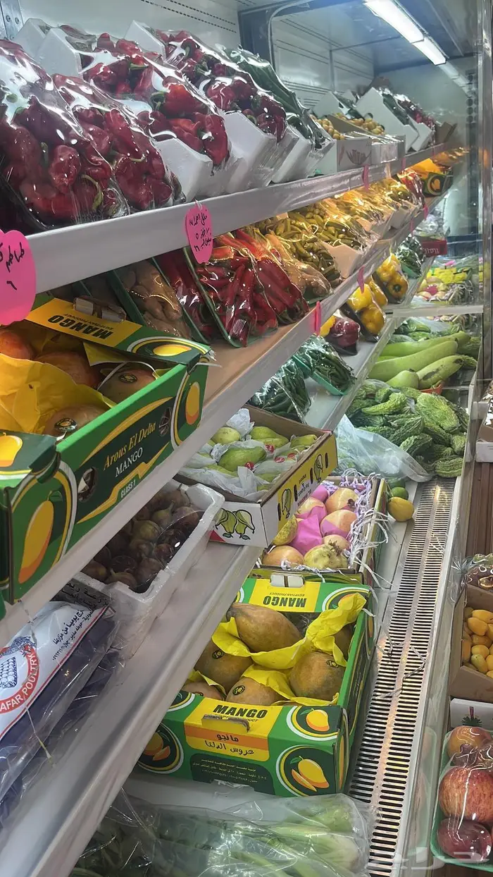 فرصه ذهبيه لاتعوض 1