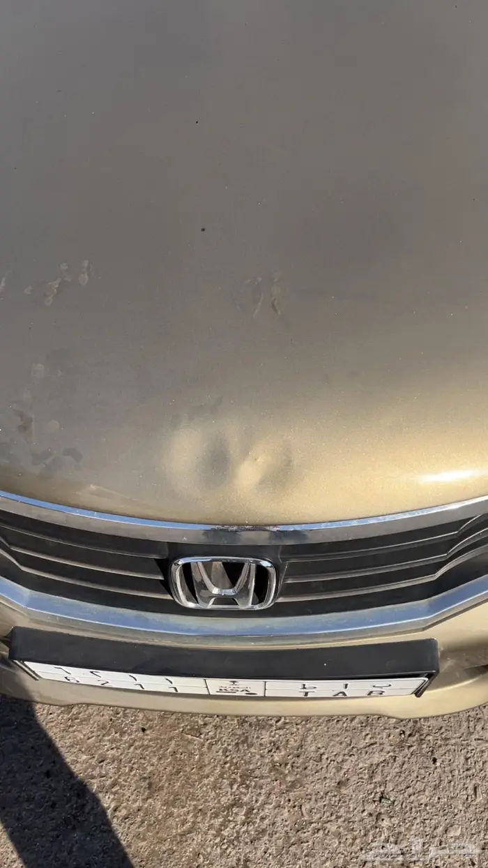 هوندا اكود 2009 نص فل 13