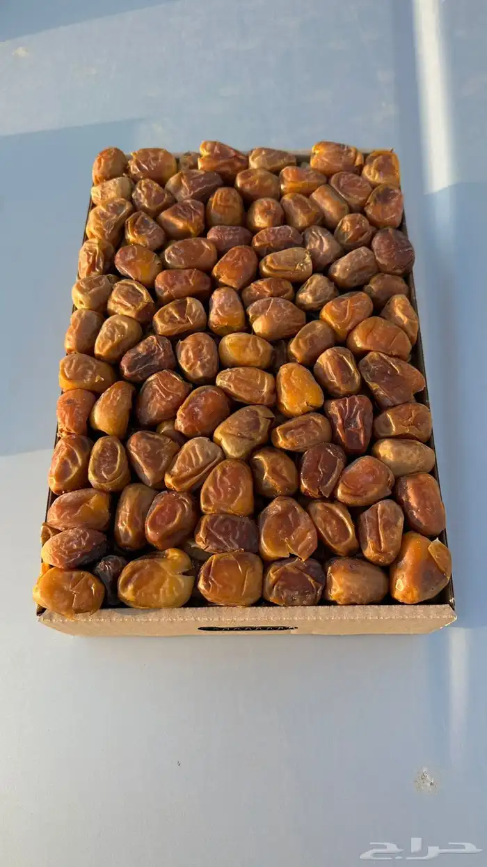 تمر سكري رطب ومفتل 1