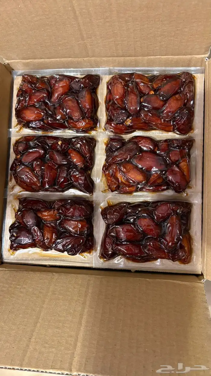 تمر صفري بيشه حبه كبيره 3