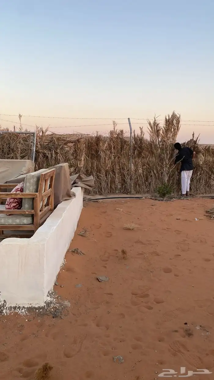 مخيم ليالي المشاعلة 5