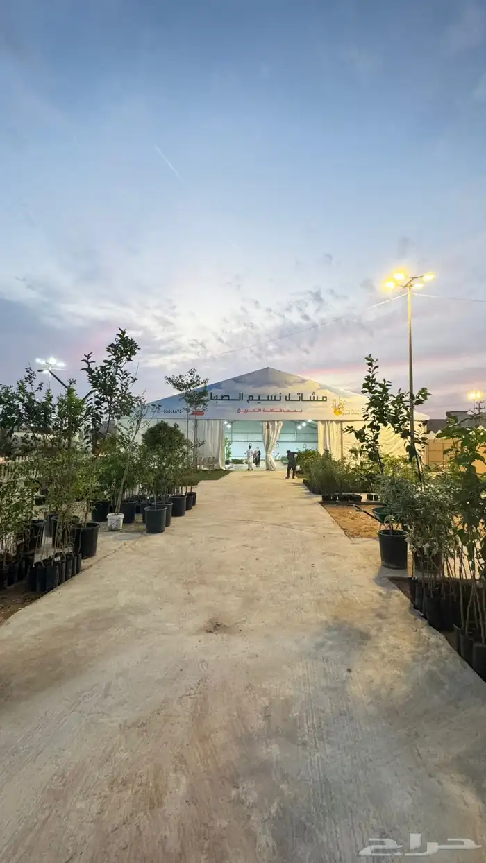 تاجيرخيام اوروبية تأجير خيام شعبية بيت شعر 3