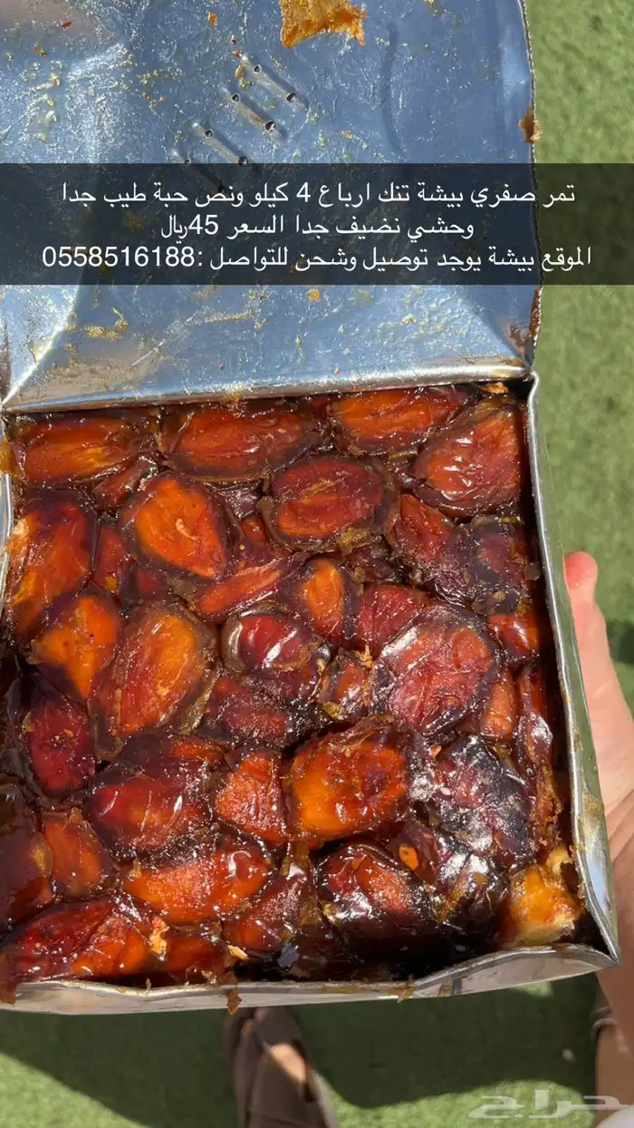 تمر صفري بيشة فاخر كفو تنك  علب فول 2