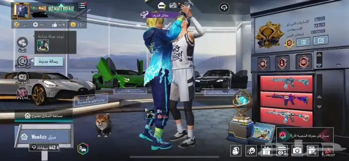 حساب ببجي فوق 300 مقك 0