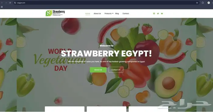 مصمم مواقع و متاجر ويب 0