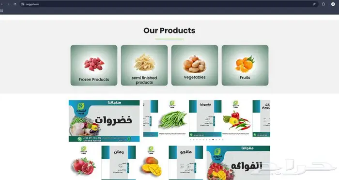 مصمم مواقع و متاجر ويب 1