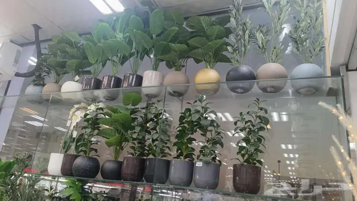 تنسيق حدائق بالرياض 1