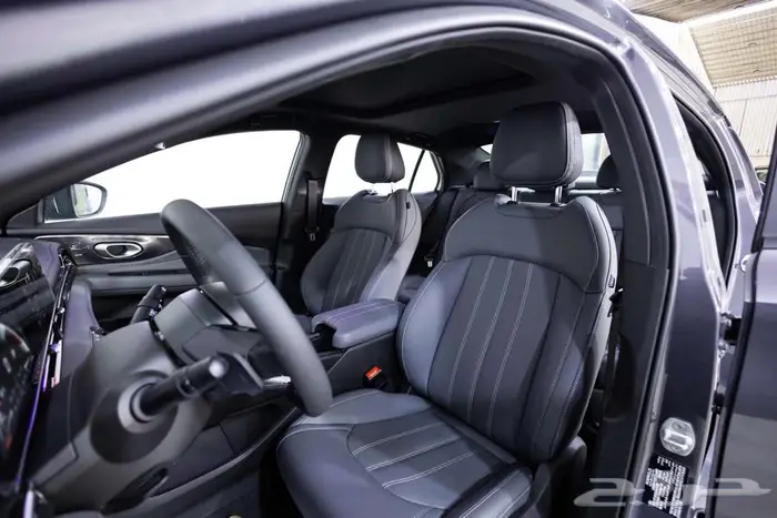 جي ايه سي امباو GE - R سبورت 2.0 - 2026 17