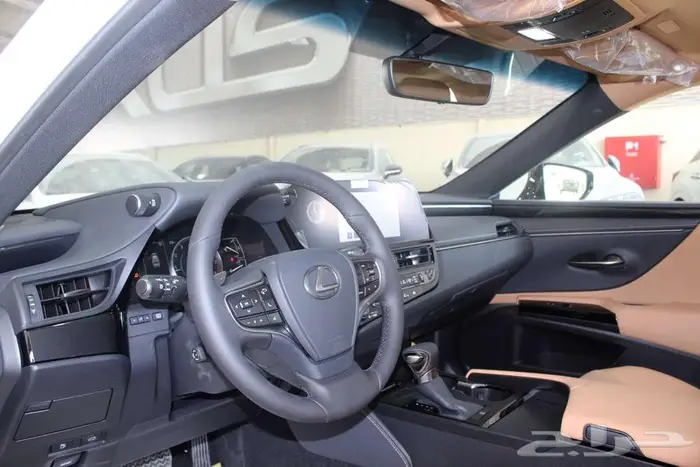 لكزس - ES 250 - AA - استندر - بريمي - 2025 19