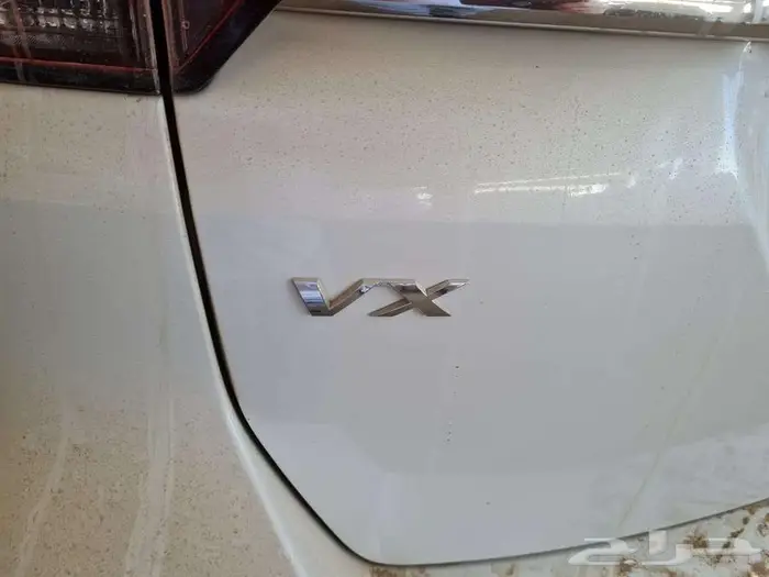 بريدة حي الجزيرة المعارض 8