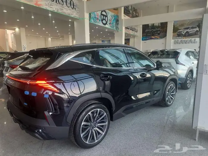 ساوايست S06 بريميوم جميع الفئات موديل 2026 اقل سعر للكاش 17