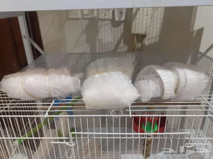 قفص وستاند للطيور ومستلزمات جديد بأرخص الاسعار 15