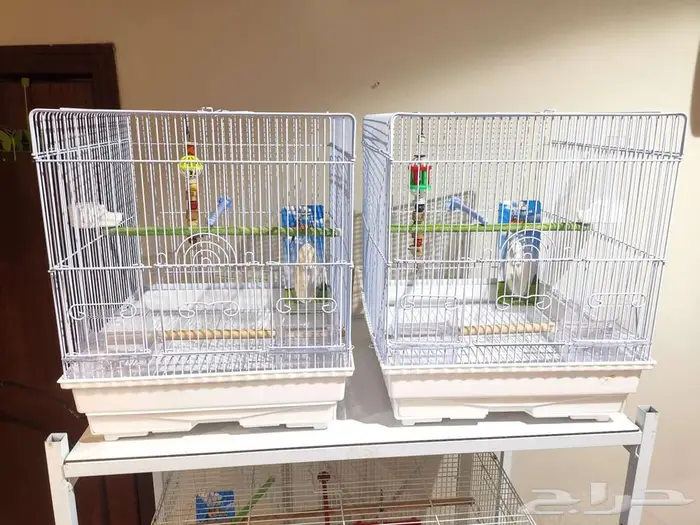 قفص وستاند للطيور ومستلزمات جديد بأرخص الاسعار 7