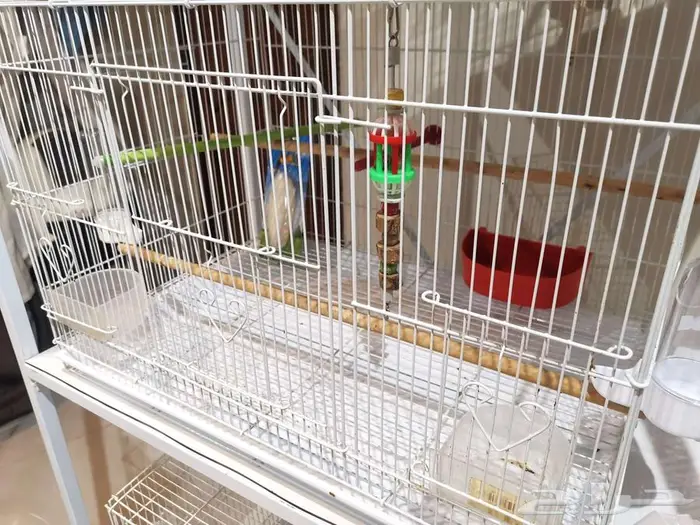 قفص وستاند للطيور ومستلزمات جديد بأرخص الاسعار 6