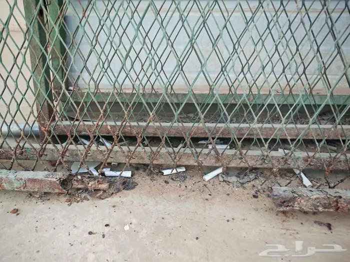 صندقة (عشة حمام) 2