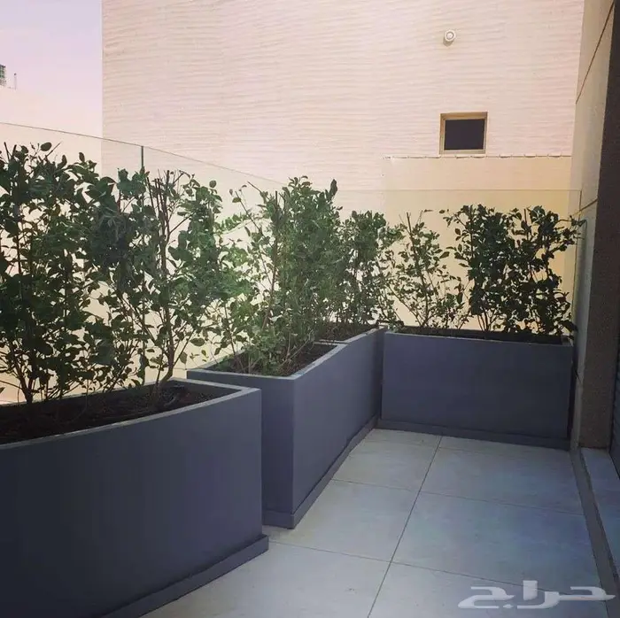 احواض زرع جملة ومراكن كبيرة للأشجار الرياض 6