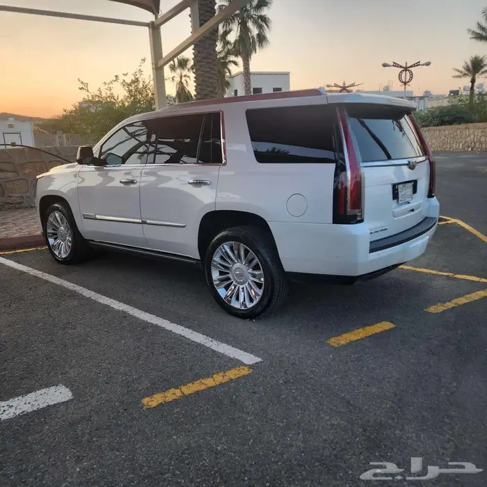 كاديلاك اسكاليد 2020 فل كامل بلاتينيوم 24