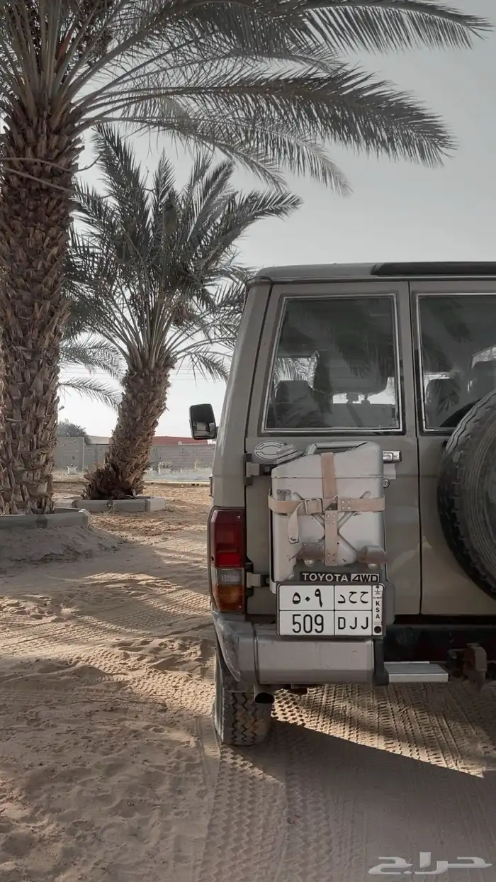 لوحة ( ح ح د - 509 ) ترمز ل قبيلة الشرارات و بلقرن 2