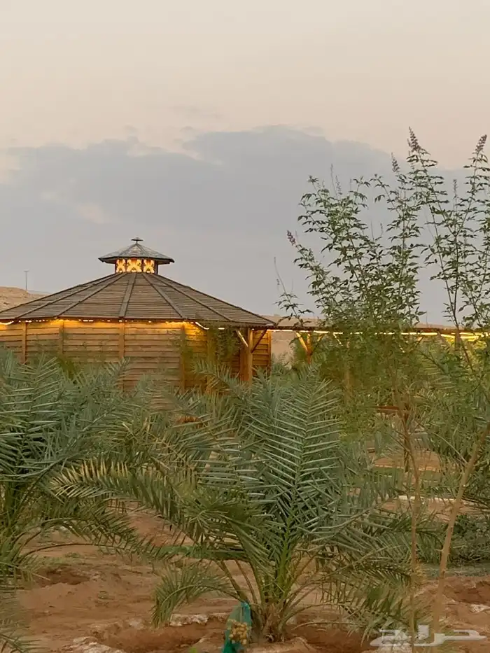 للبيع مزراعه في مركز السيباني 13