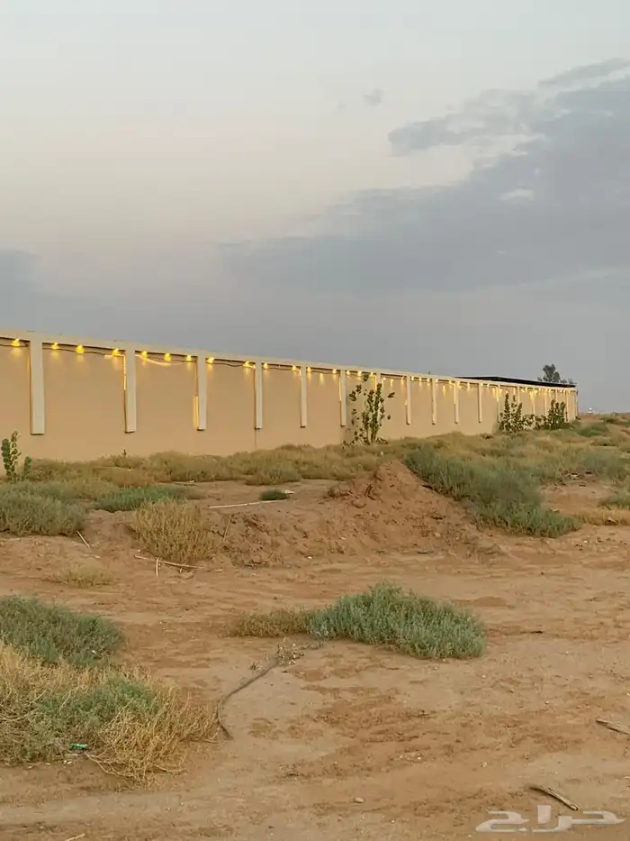 للبيع مزراعه في مركز السيباني 15