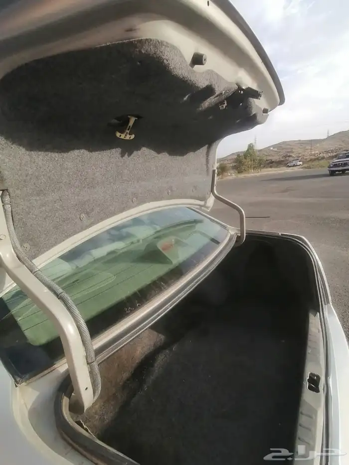 التيما 2006 13