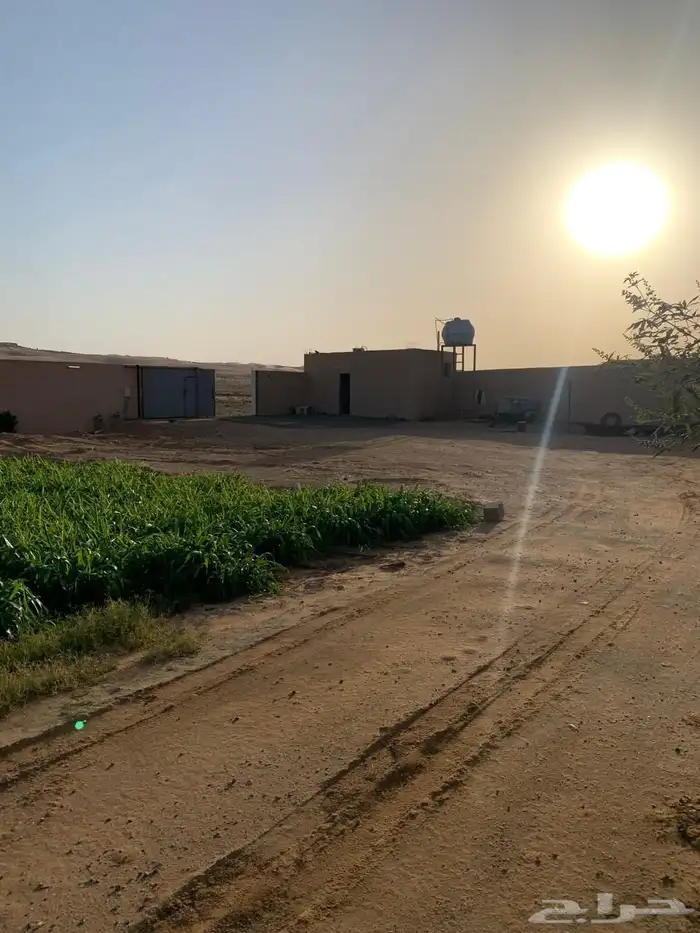 للبيع مزراعه في مركز السيباني 37