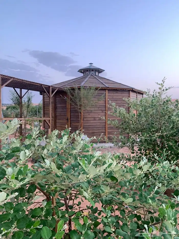 للبيع مزراعه في مركز السيباني 14