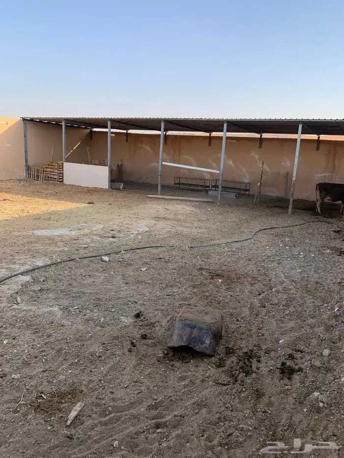 للبيع مزراعه في مركز السيباني 23