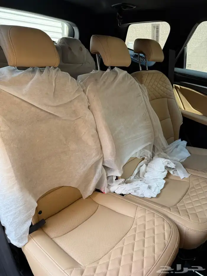 جيلي اوكافانجو 11