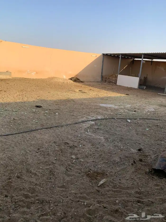 للبيع مزراعه في مركز السيباني 22