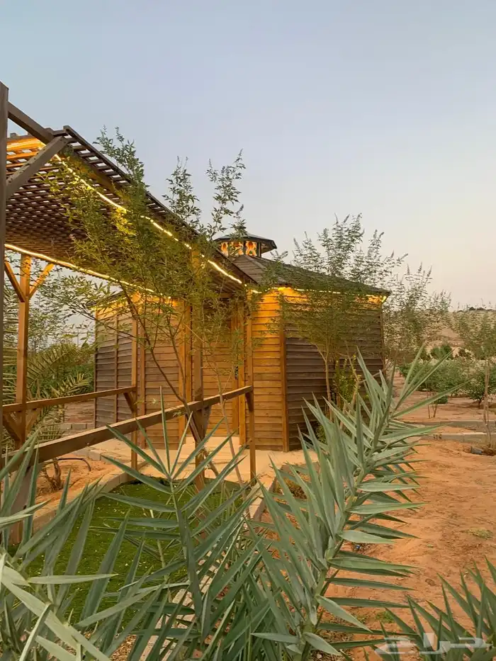 للبيع مزراعه في مركز السيباني 11