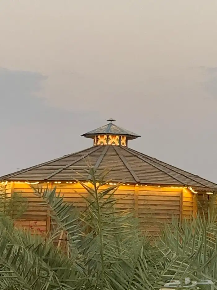 للبيع مزراعه في مركز السيباني 16