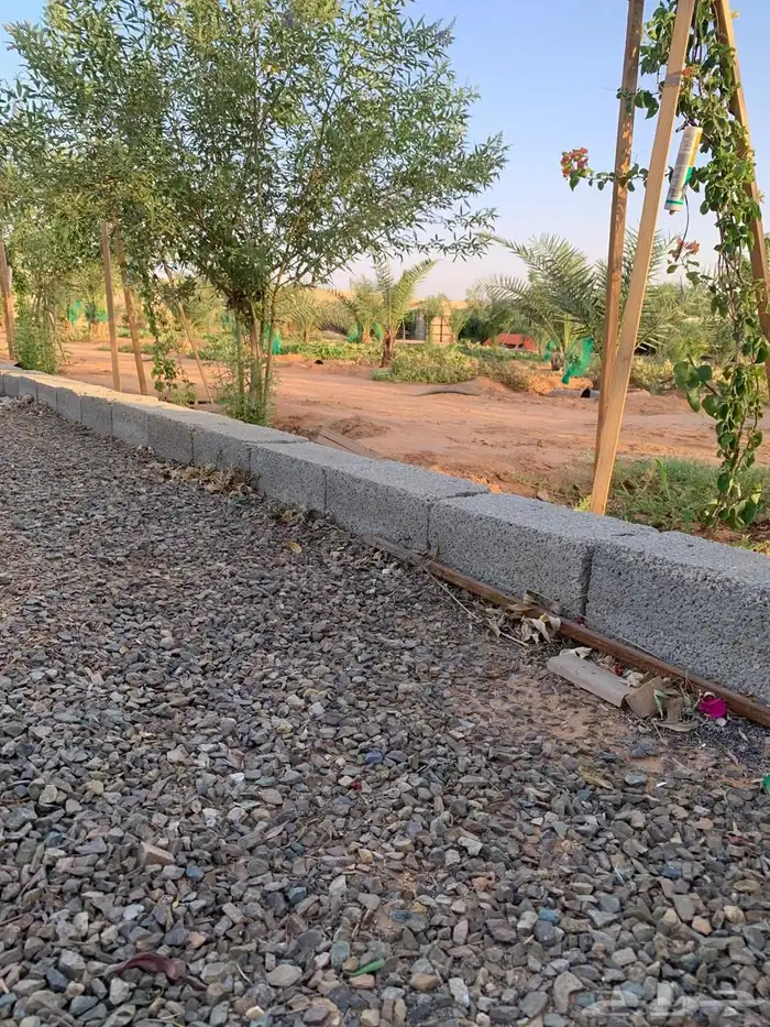 للبيع مزراعه في مركز السيباني 25