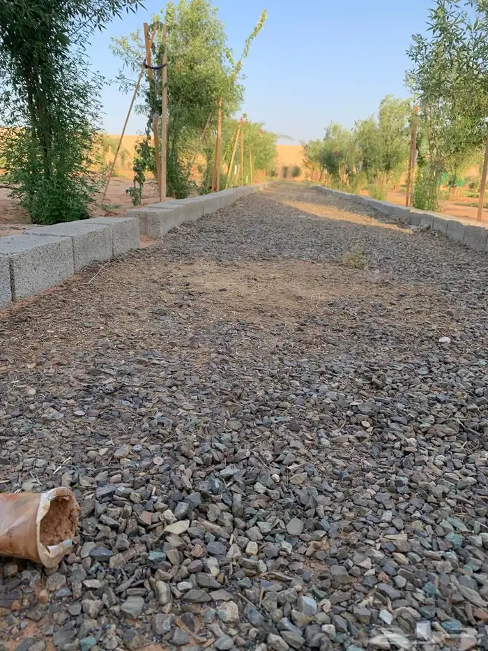 للبيع مزراعه في مركز السيباني 24