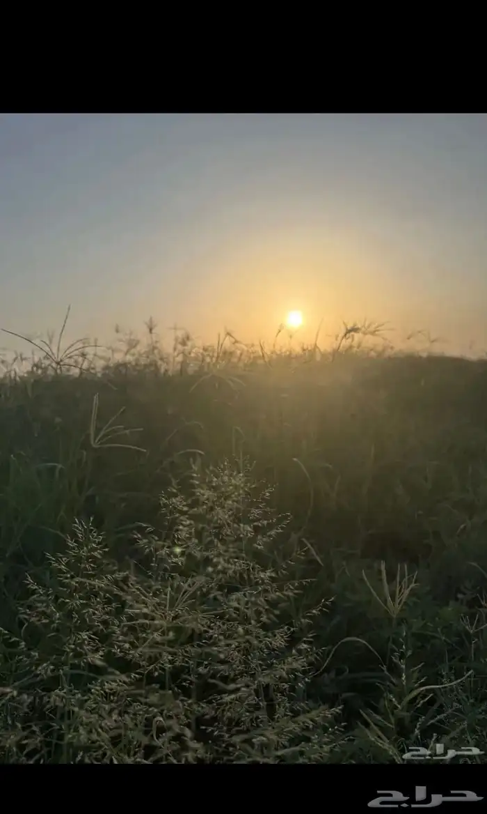 رشاش كهرب كفو ما حلو الموقع وادي الدواسر 3