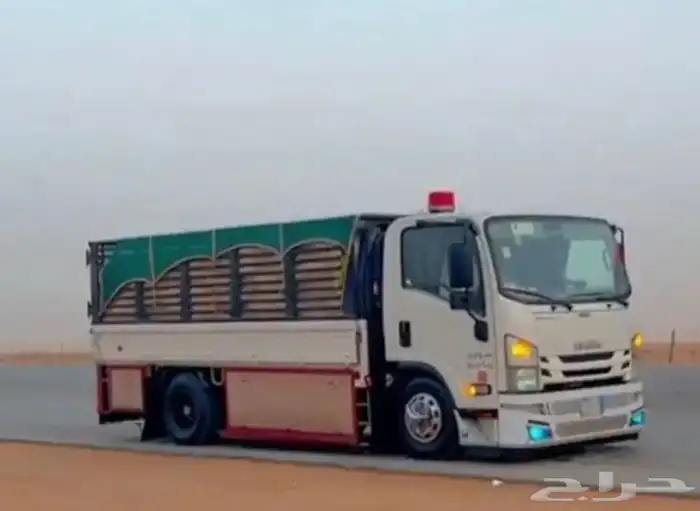 دينا ايسوزو 2008 جامبو 0