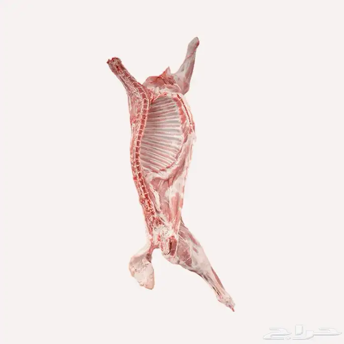 ملحمة الصالحة لأجود أنواع اللحوم المبردة بالحفر 9