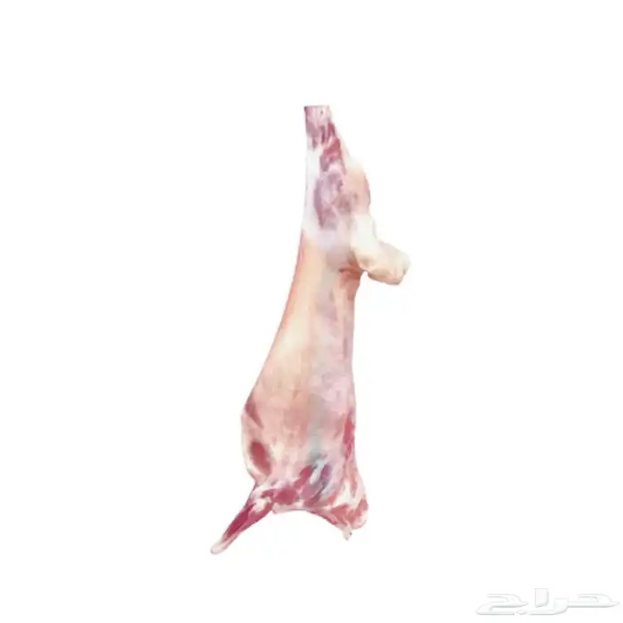 ملحمة الصالحة لأجود أنواع اللحوم المبردة بالحفر 3