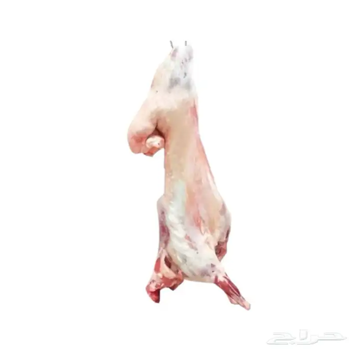 ملحمة الصالحة لأجود أنواع اللحوم المبردة بالحفر 5