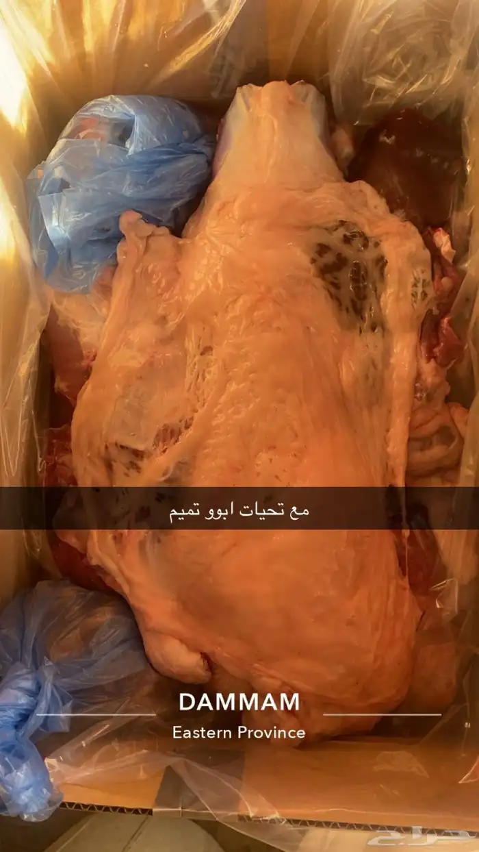 يوجد لدينا أنواع الذبائح - حري - نعيم - سواكن 1