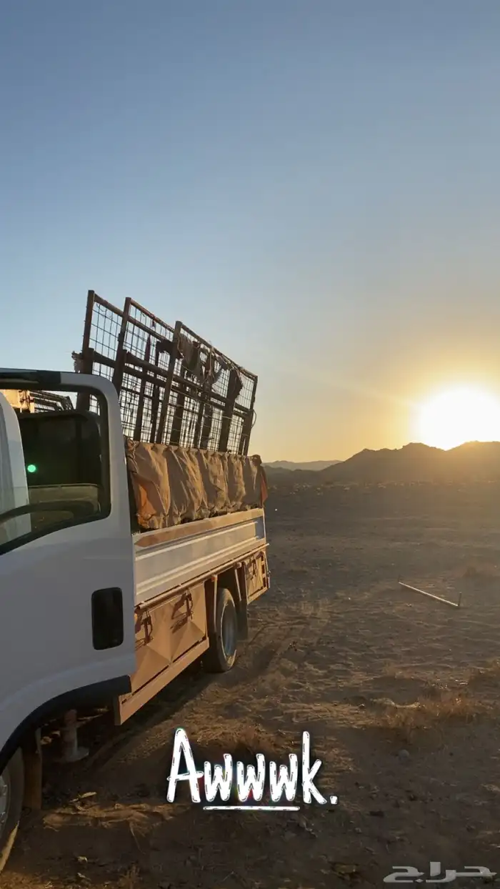 ديانه ونش للتحميل داخل وخارج تبوك 0