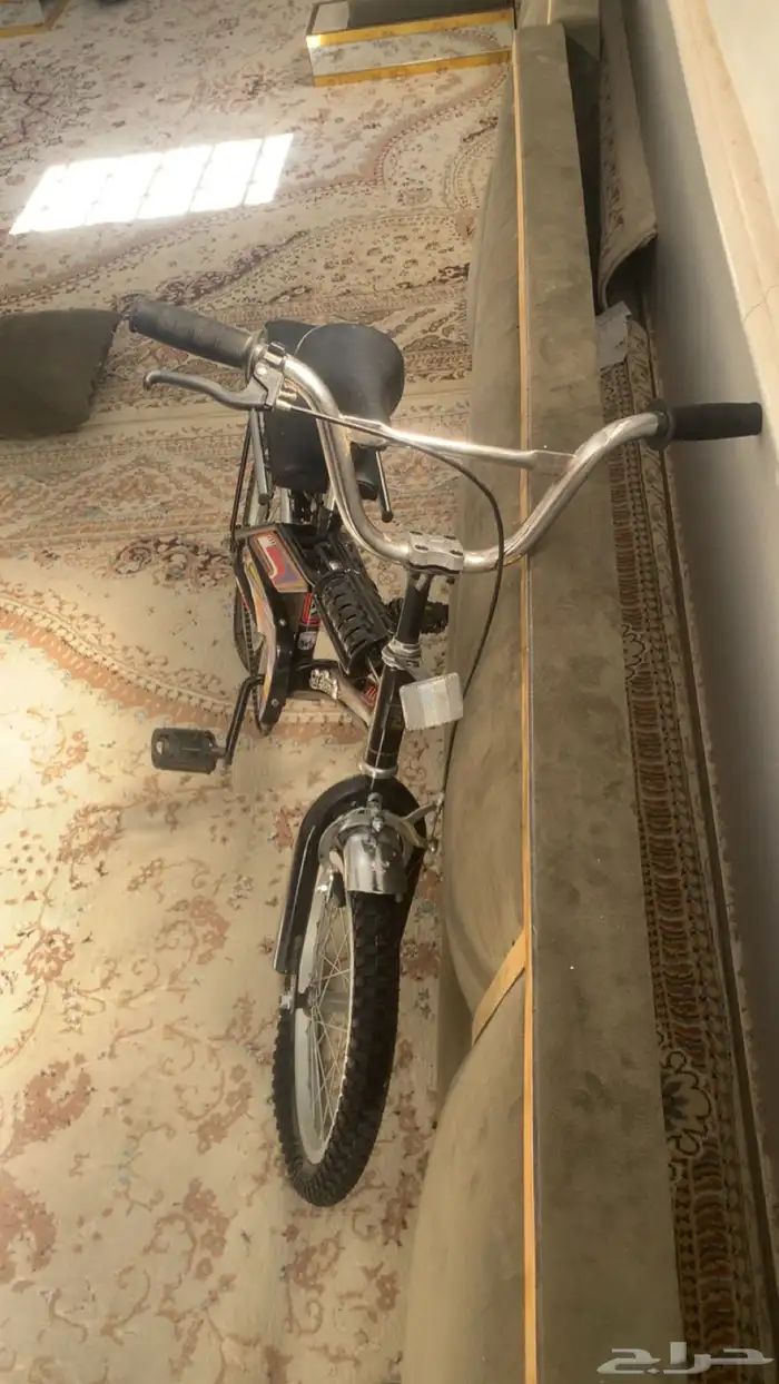 سيكل رامبو اندلوسي الاصلي 8