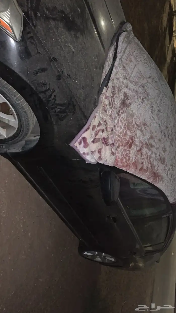 مكسيما 2007 شكل الالتيما 1