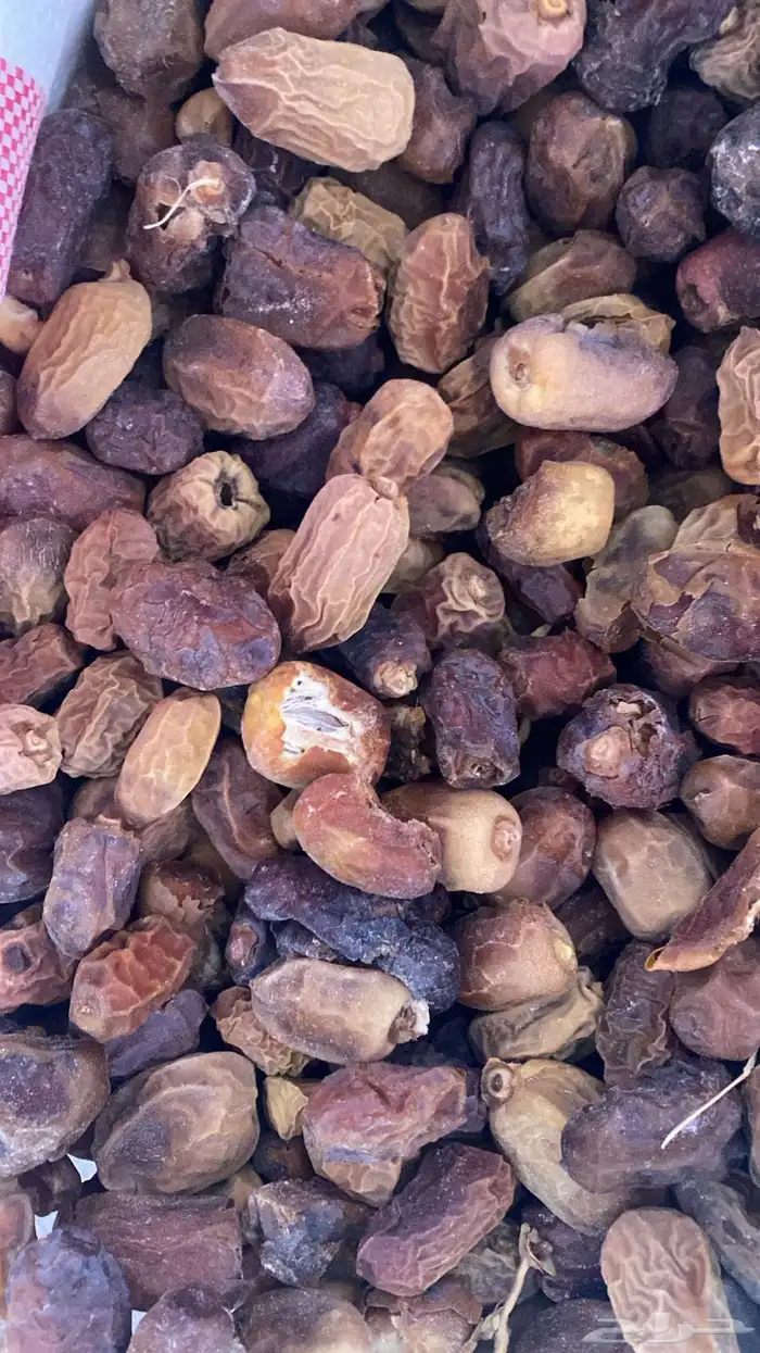 تمر علف نفيع وناشف 4